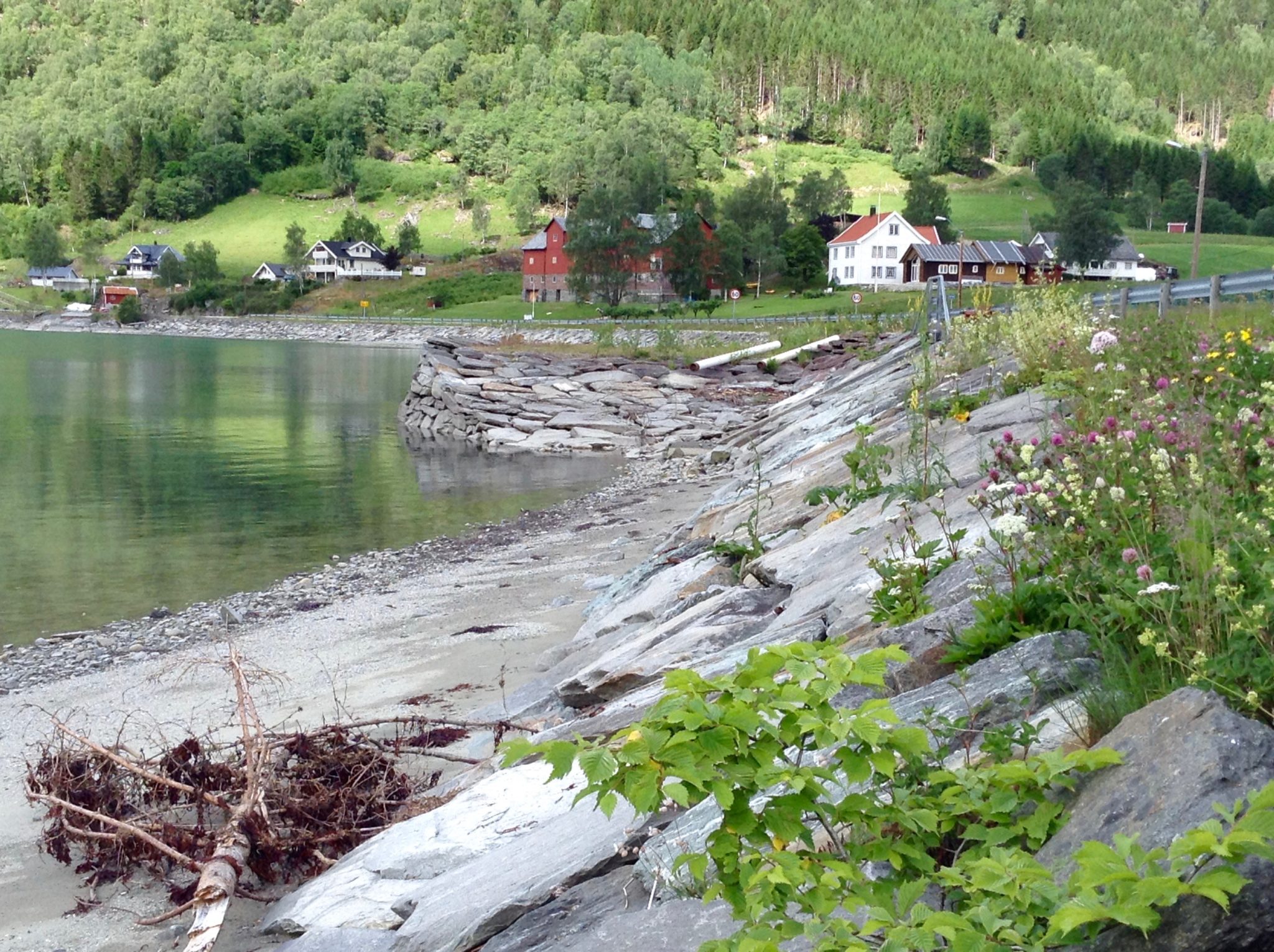 Banks of the Sognefjord, Norway