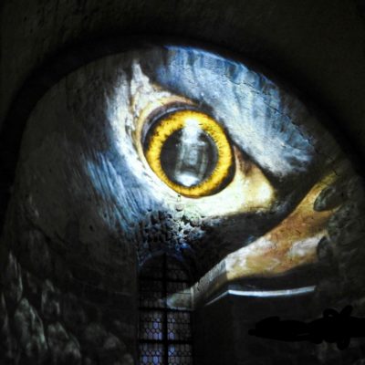 Eagle eye close up.  Mont-Saint-Michel abbey wall.
