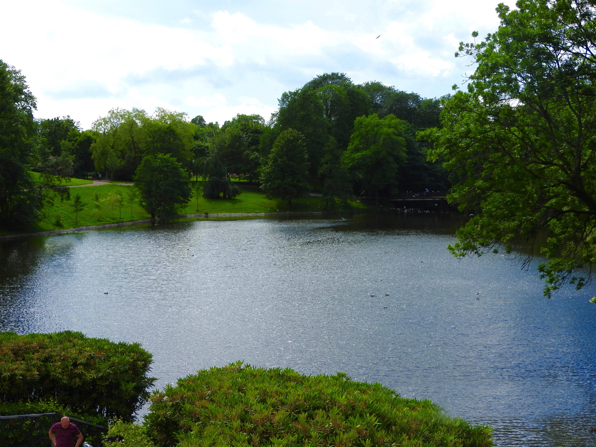 Frogner park pond, seen from the terrace Pond surrounded by trees and other greenery Oslo Norway