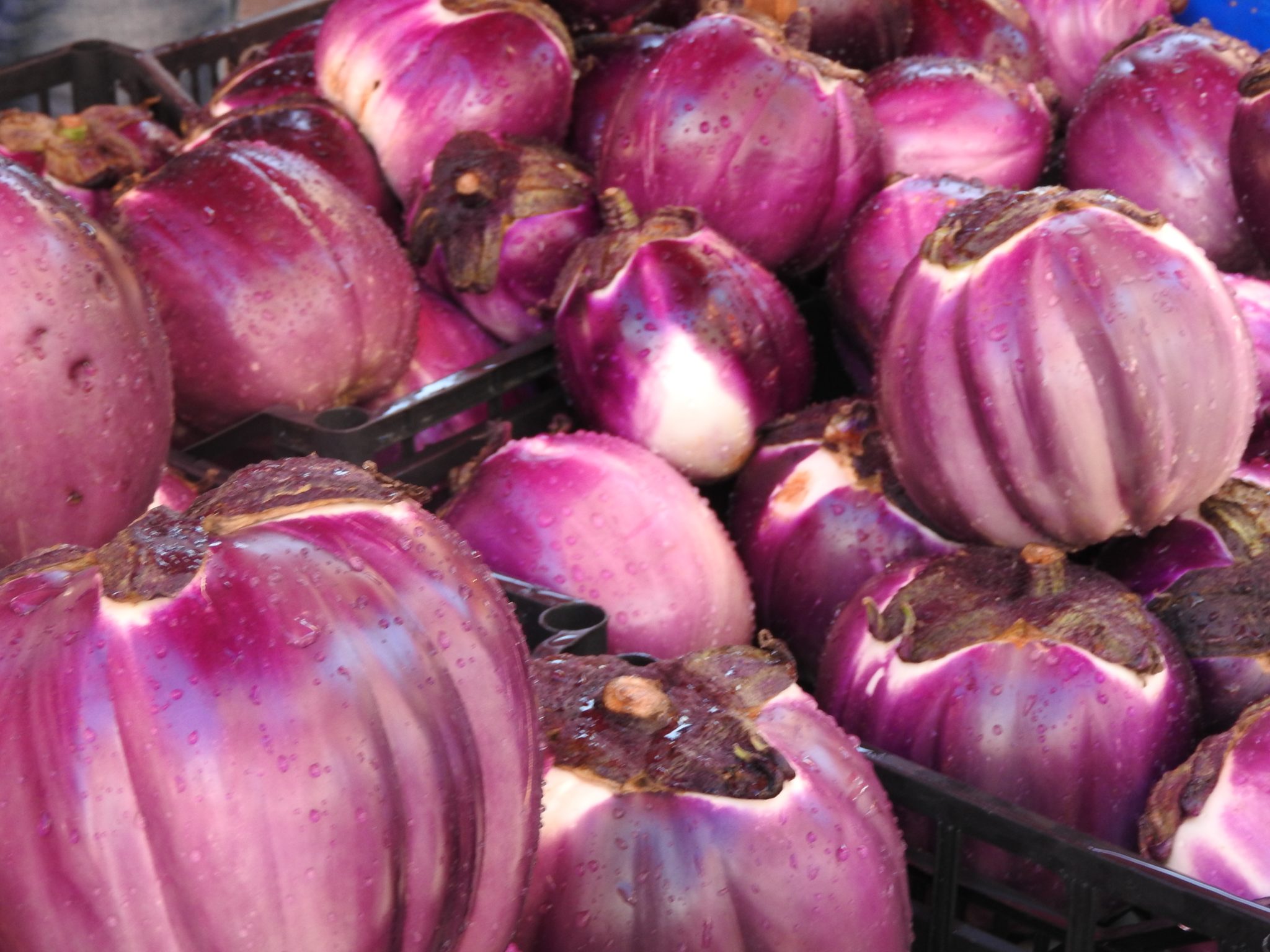 close up of eggplants