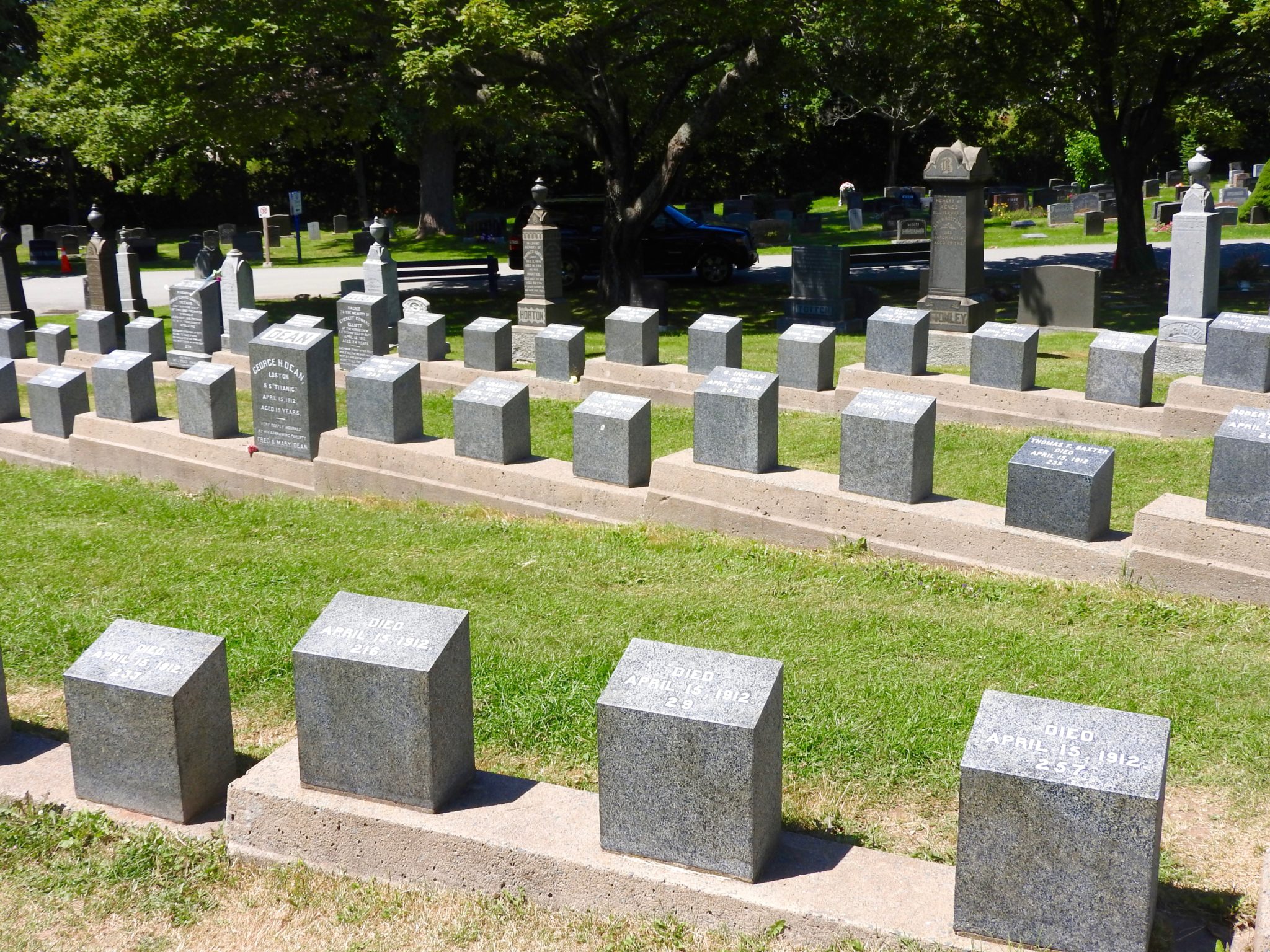 Three rows of granite headstones