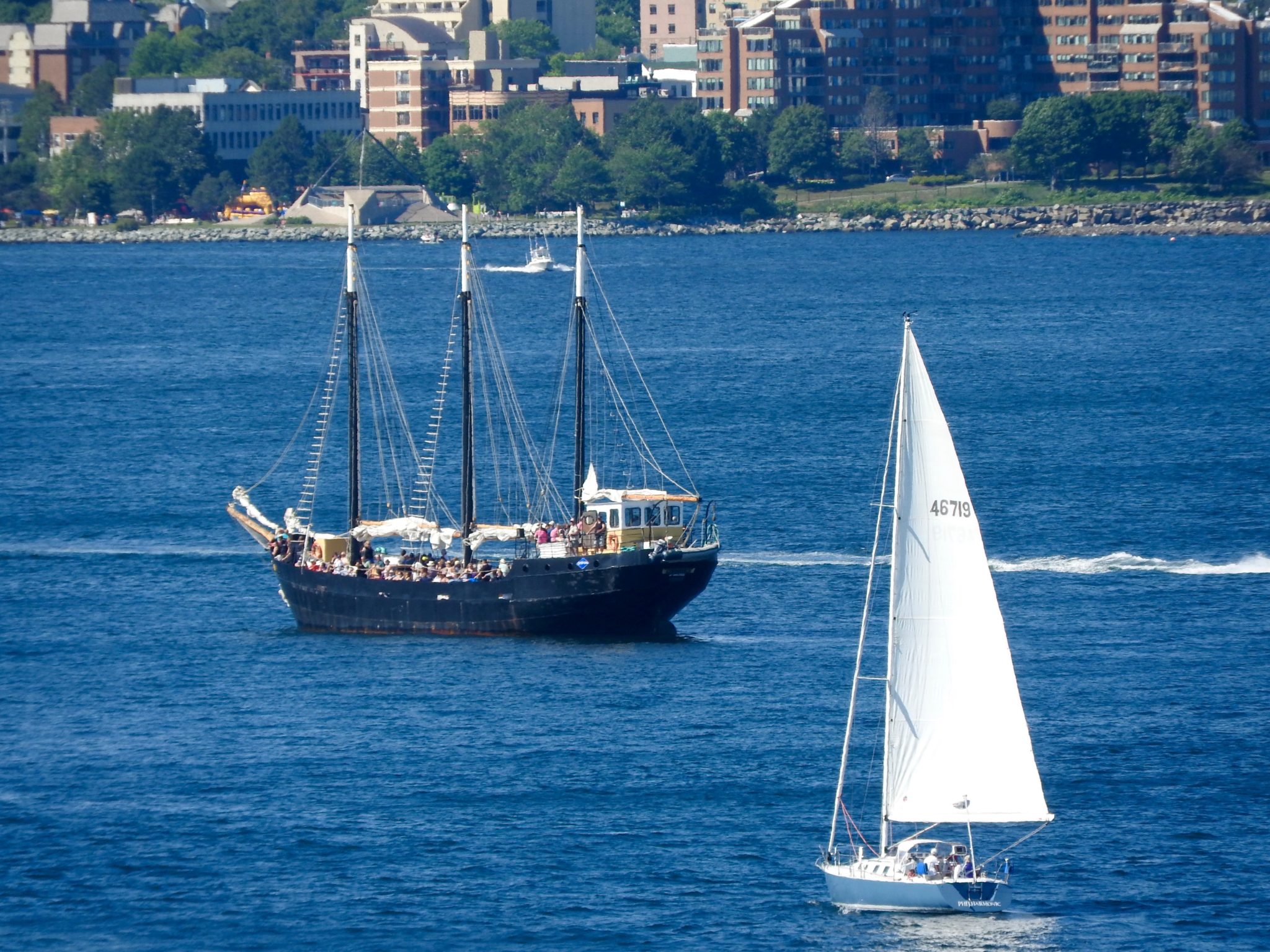 Small modern sailboat and older sailing ship