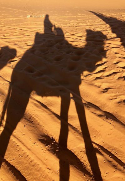 Camel Shadow