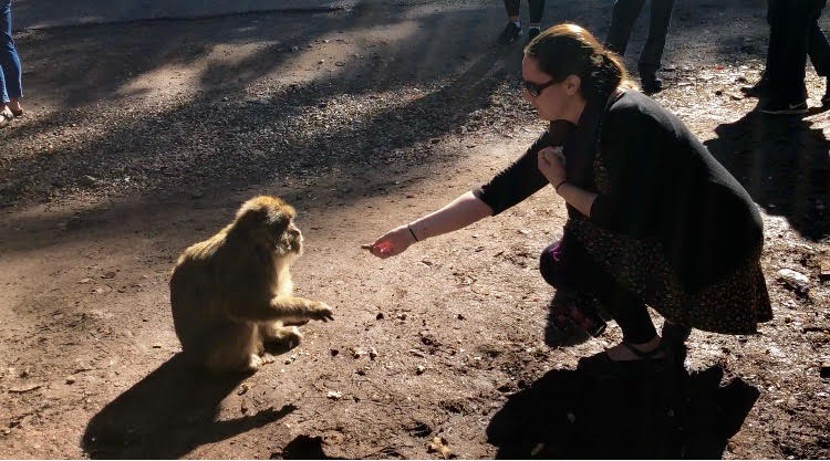 woman feeding small monkey