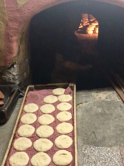 dough rounds on bakery tray