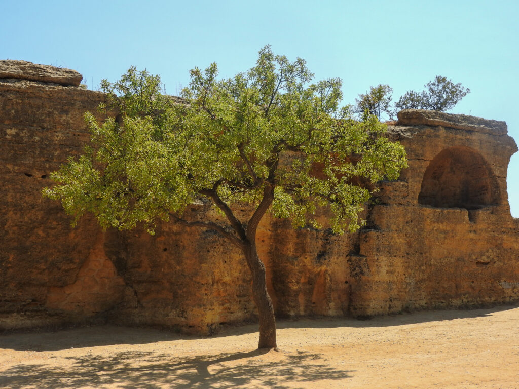 Ancient stone city wall with half-moon shaped carved alcove